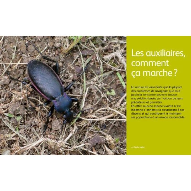 Les auxiliaires au jardin - Une solution alternative aux pesticides Les auxiliaires au jardin - Une solution alternative aux pesticides