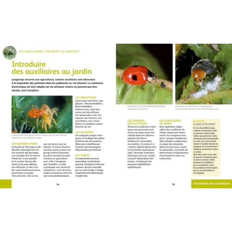Les auxiliaires au jardin - Une solution alternative aux pesticides Les auxiliaires au jardin - Une solution alternative aux pesticides