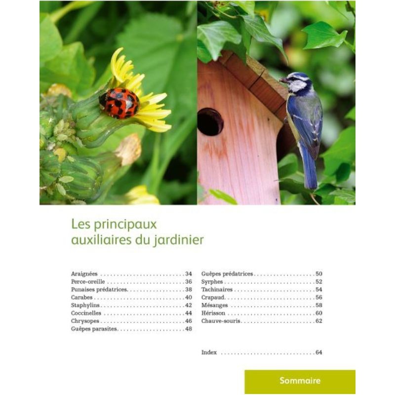 Les auxiliaires au jardin - Une solution alternative aux pesticides Les auxiliaires au jardin - Une solution alternative aux pesticides