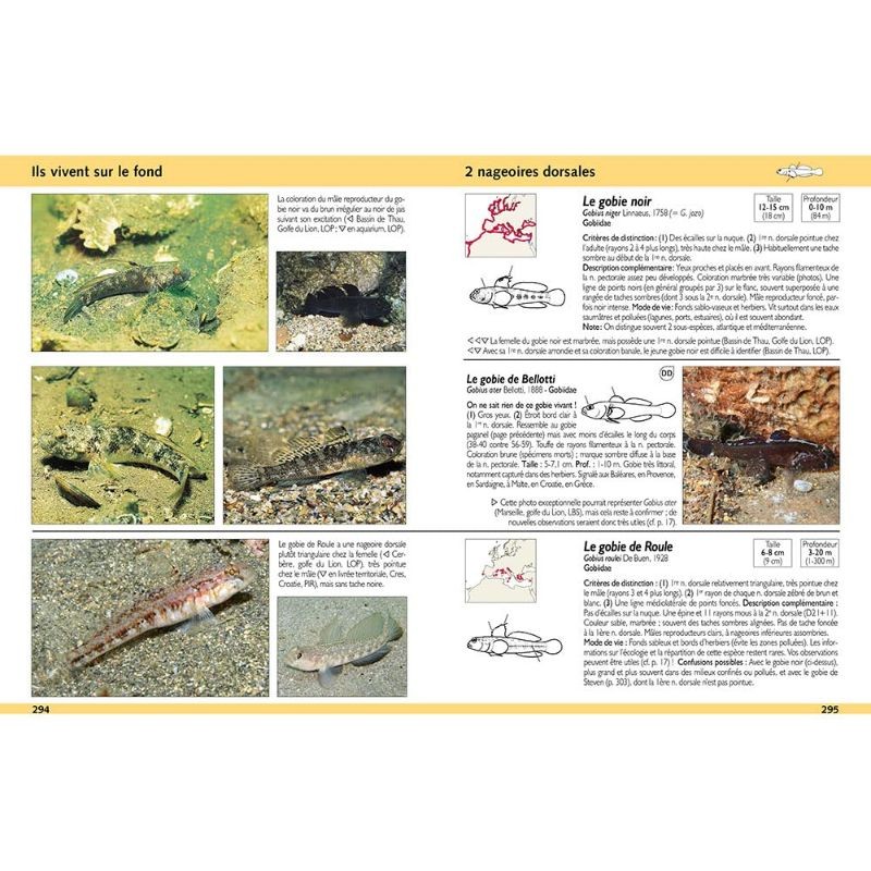 Guide d'identification des poissons marins - Europe et Méditerranée