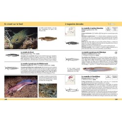 Guide d'identification des poissons marins - Europe et Méditerranée Guide d'identification des poissons marins - Europe et Méditerranée