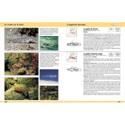 Guide d'identification des poissons marins - Europe et Méditerranée Guide d'identification des poissons marins - Europe et Méditerranée