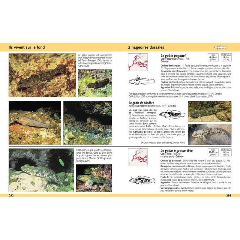 Guide d'identification des poissons marins - Europe et Méditerranée