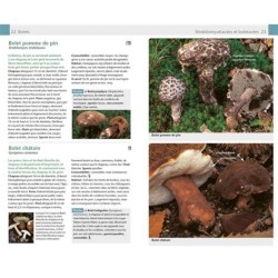 Champignons - Guide Nature Champignons - Guide Nature