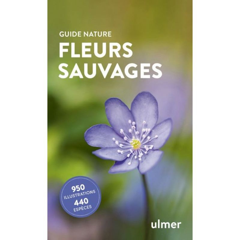 Fleurs sauvages - Guide Nature