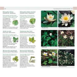 Fleurs sauvages - Guide Nature Fleurs sauvages - Guide Nature