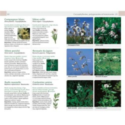 Fleurs sauvages - Guide Nature Fleurs sauvages - Guide Nature
