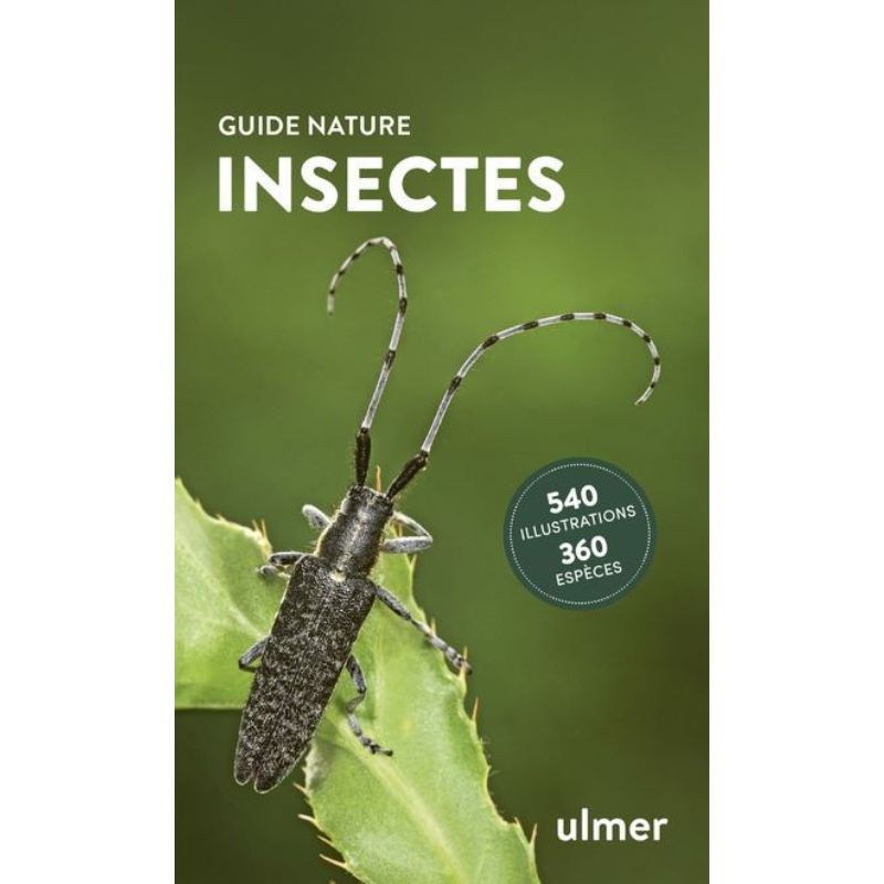Insectes - Guide Nature