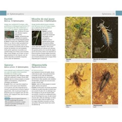 Insectes - Guide Nature