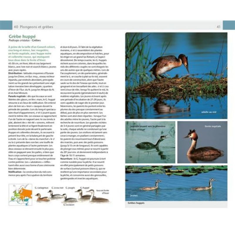 Oiseaux - Guide Nature