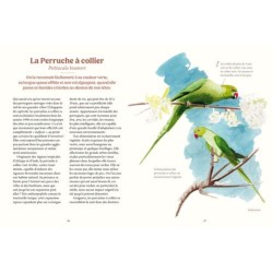 Les oiseaux de nos jardins & leur vie secrète Les oiseaux de nos jardins & leur vie secrète