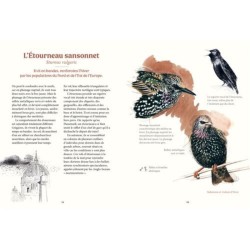 Les oiseaux de nos jardins & leur vie secrète Les oiseaux de nos jardins & leur vie secrète