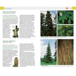 Arbres & arbustes Arbres & arbustes