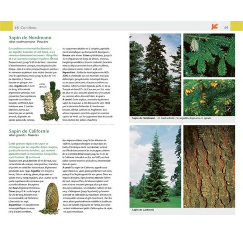 Arbres & arbustes - Guide Nature