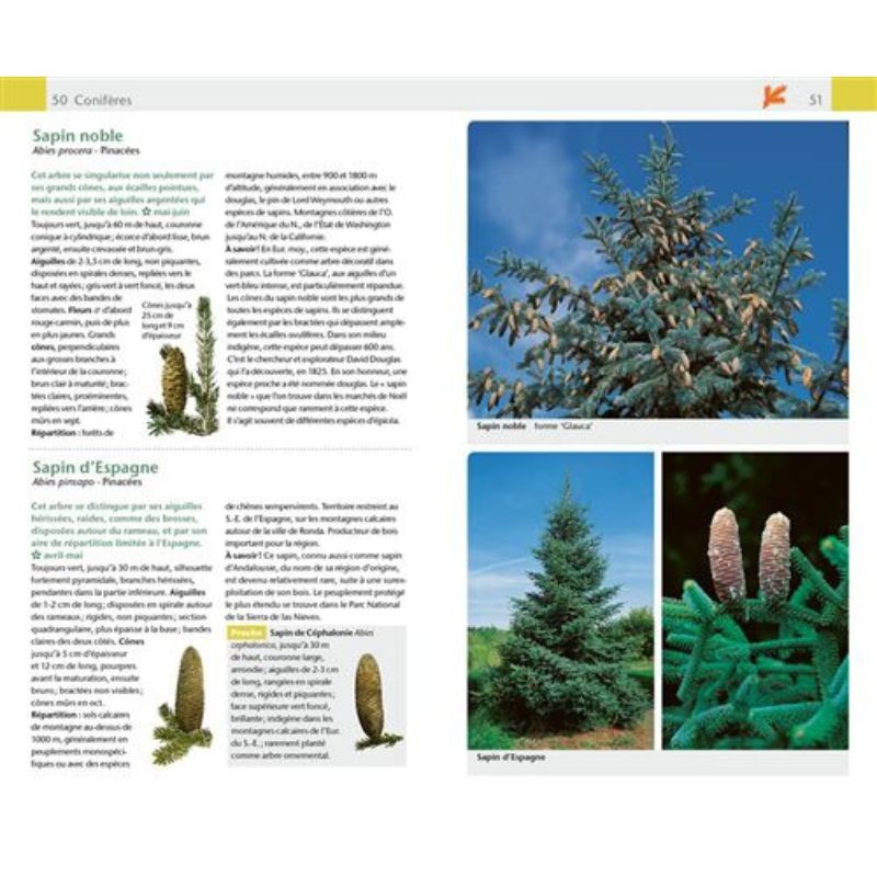 Arbres & arbustes - Guide Nature