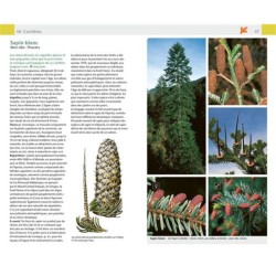 Arbres & arbustes Arbres & arbustes