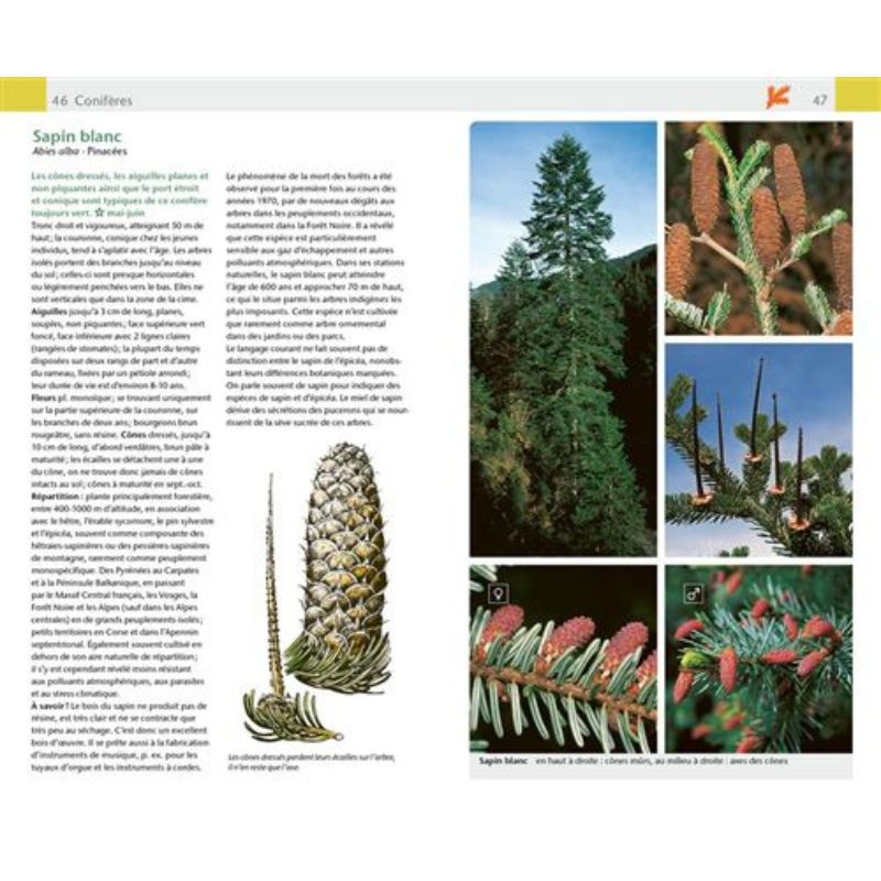 Arbres & arbustes - Guide Nature