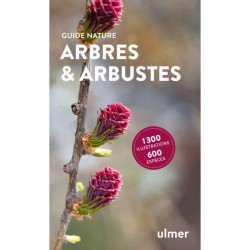 Arbres & arbustes