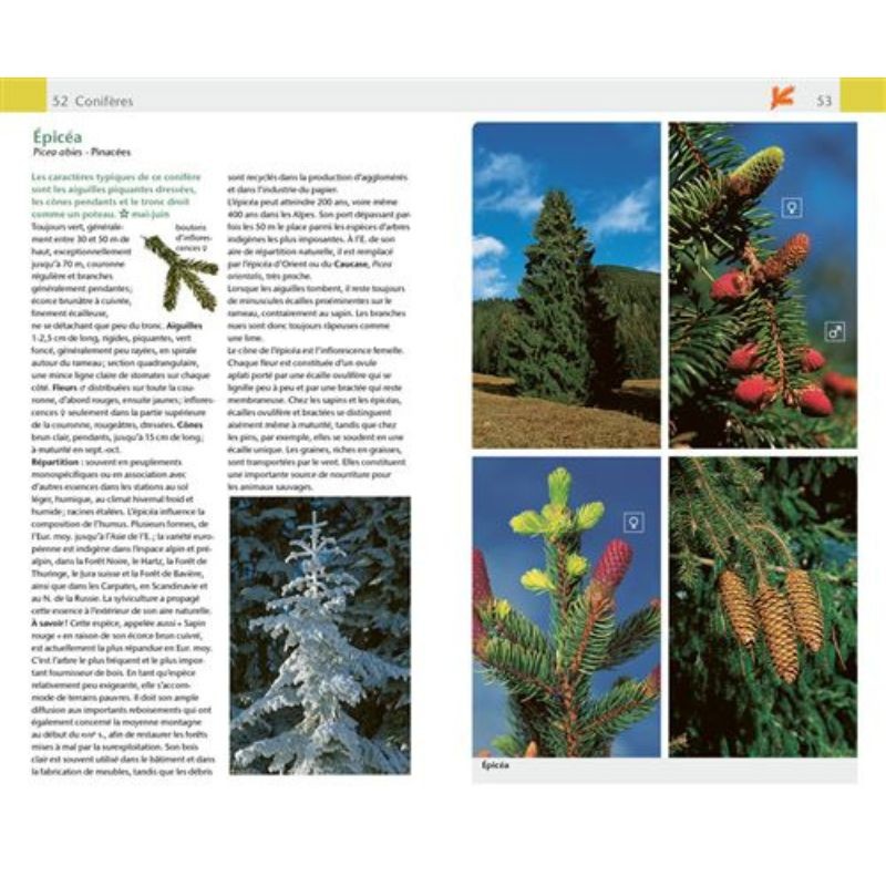 Arbres & arbustes - Guide Nature