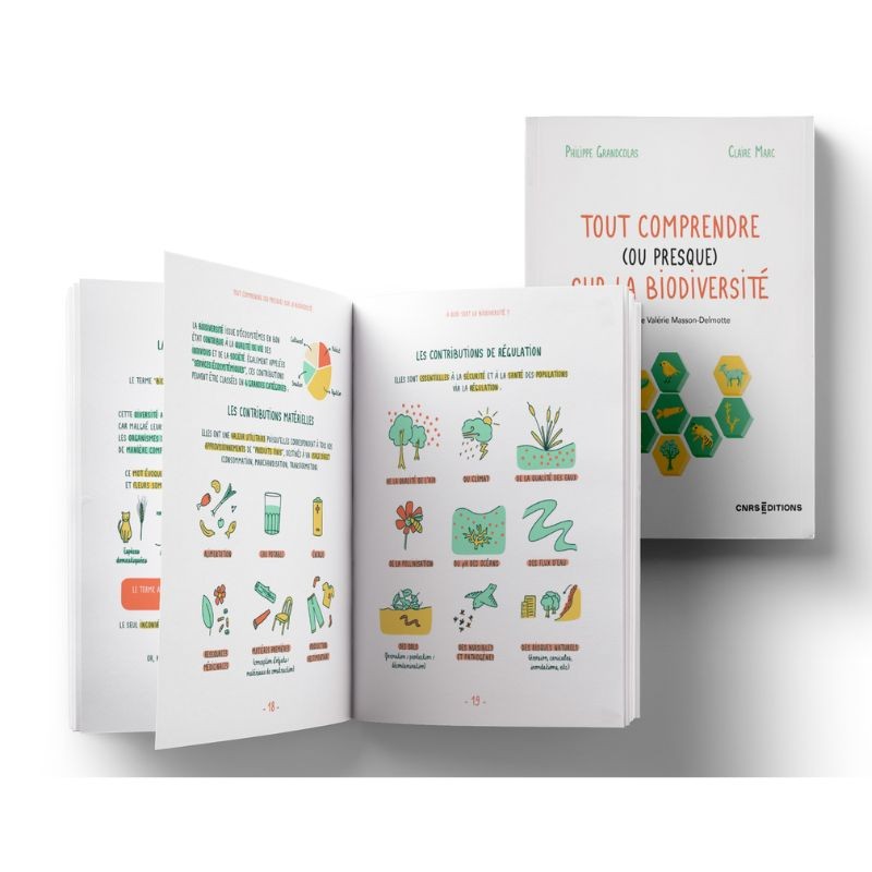 Tout comprendre (ou presque) sur la biodiversité Tout comprendre (ou presque) sur la biodiversité