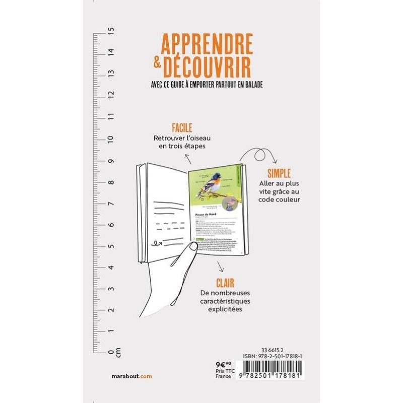 Les oiseaux de nos jardins - Identifier, nommer, découvrir