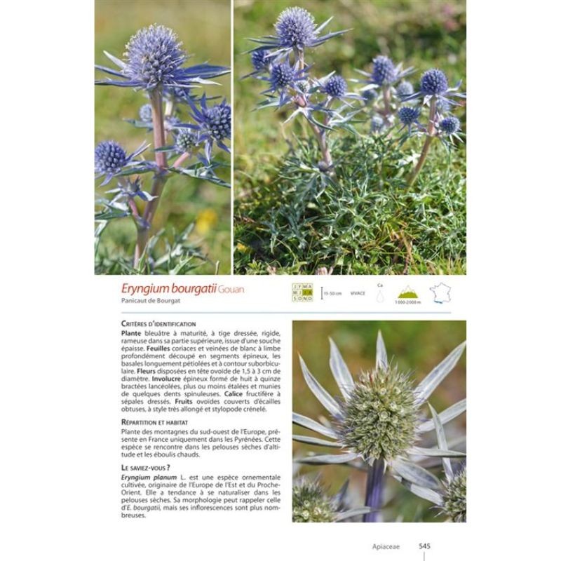 Guide expert des Plantes de montagne