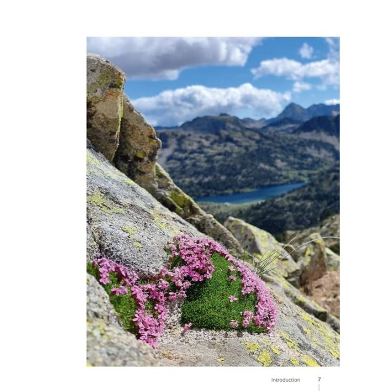 Guide expert des Plantes de montagne