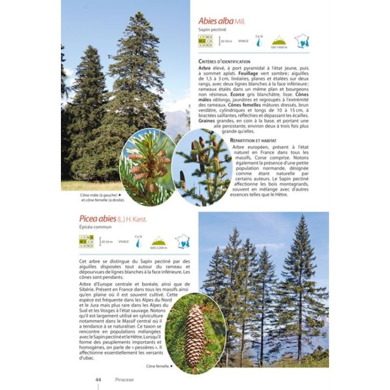 Guide expert des Plantes de montagne