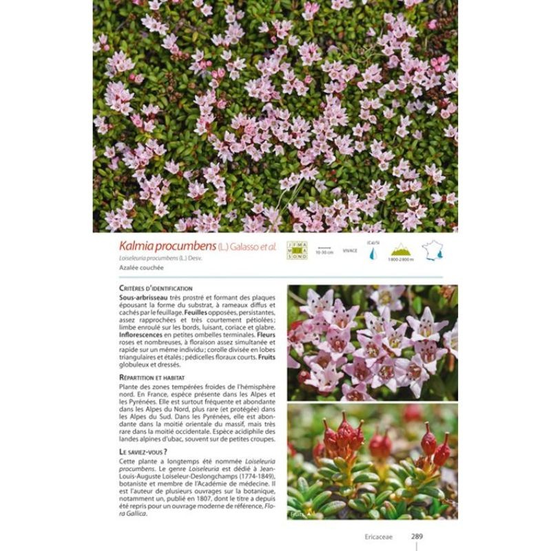 Guide expert des Plantes de montagne