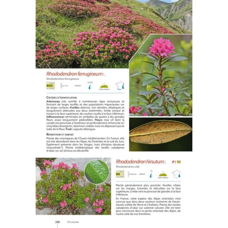 Guide expert des Plantes de montagne