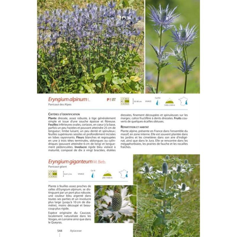 Guide expert des Plantes de montagne
