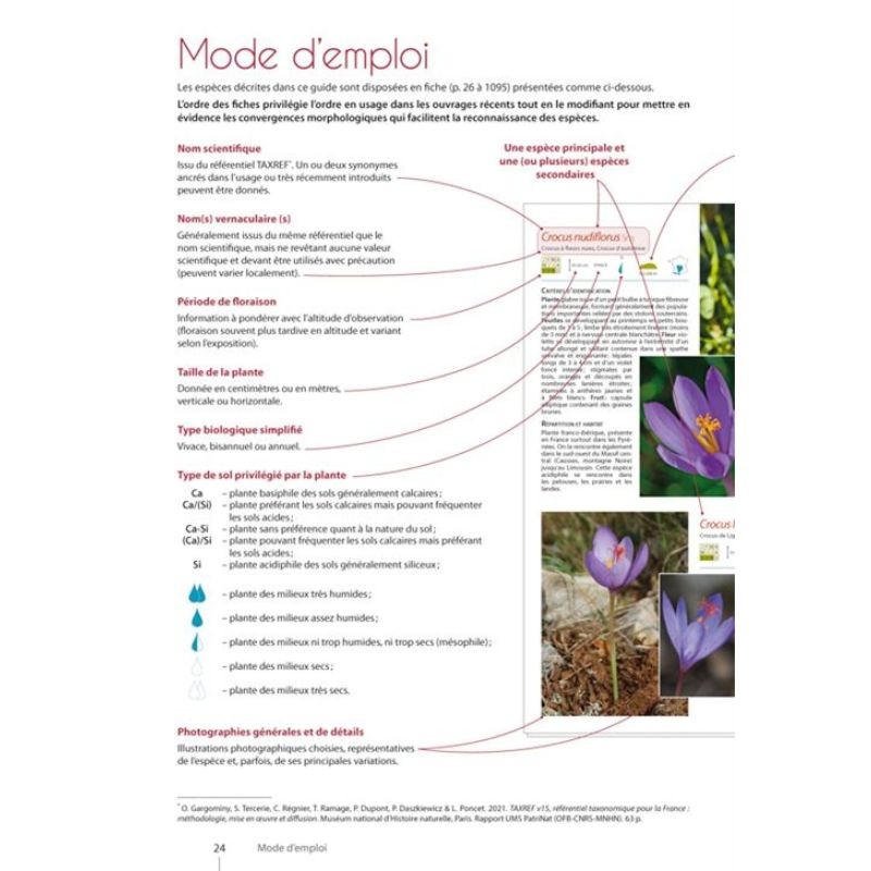 Guide expert des Plantes de montagne