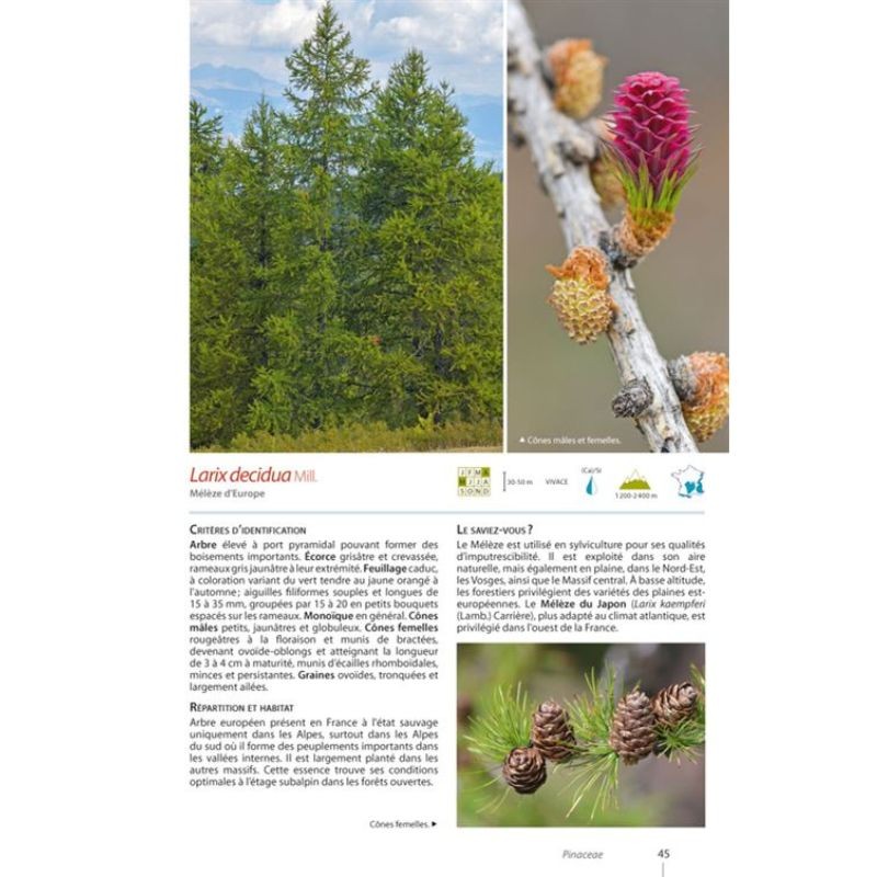 Guide expert des Plantes de montagne