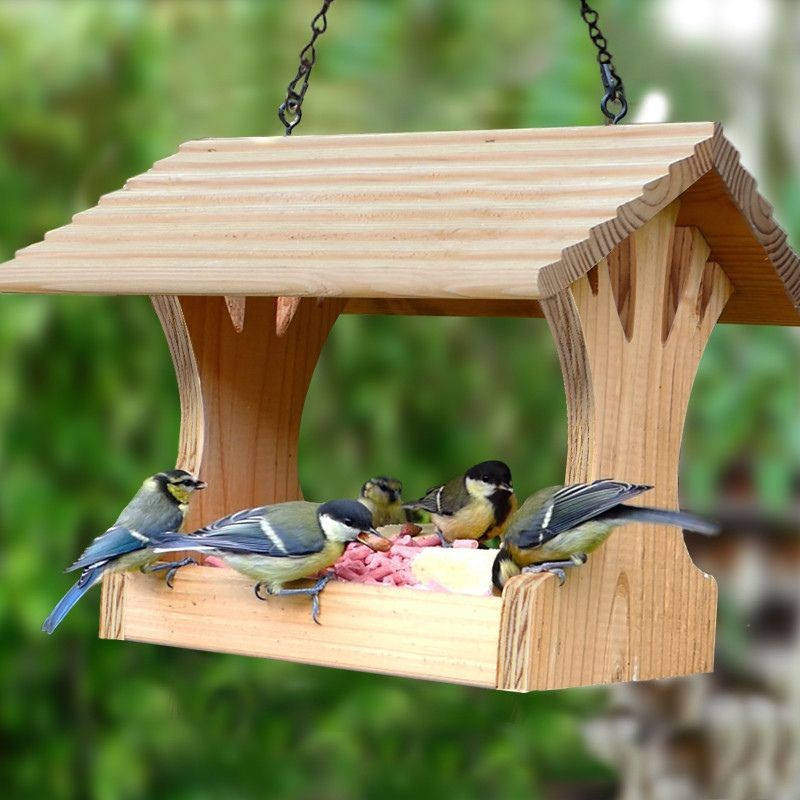Fabriquer une mangeoire à oiseaux en famille - La CLEF