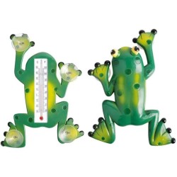 Thermomètre Grenouille