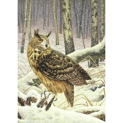 Hibou grand-duc - Carte de correspondance d'André Buzin