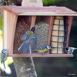 Mangeoire "Le Restaurant" - Graines, graisse et arachides