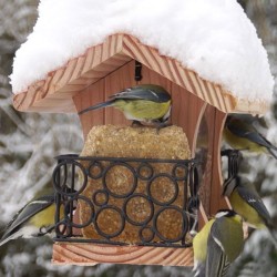 Mangeoire "Gourmet" - Eco Ressource + Mangeoire "Gourmet" - Eco Ressource +