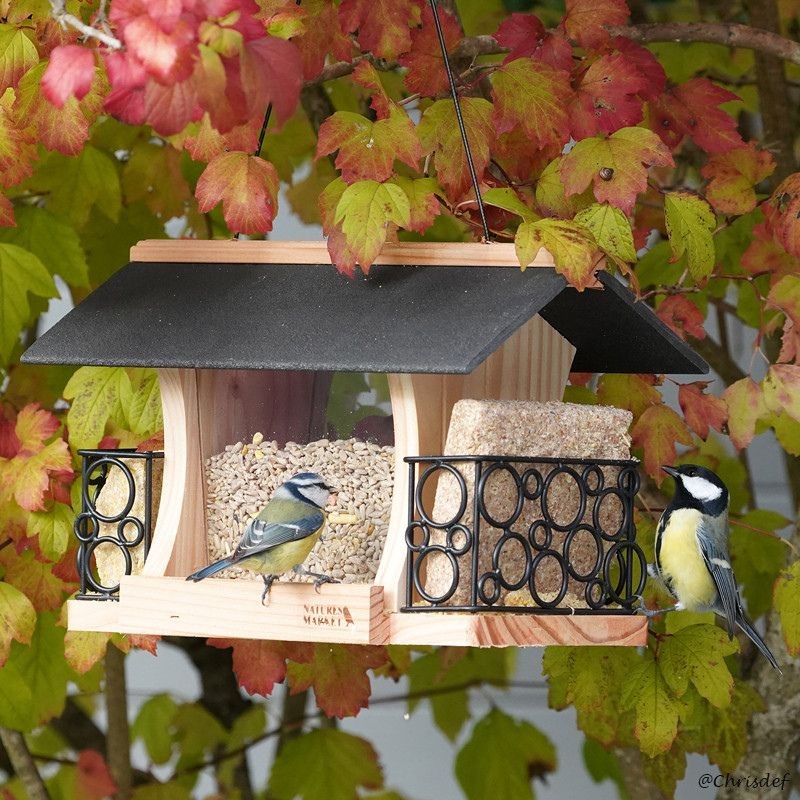 Mangeoire "Gourmet" - Eco Ressource +