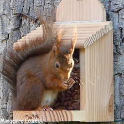 Cacahuètes décortiquées - Sac de 5 kg