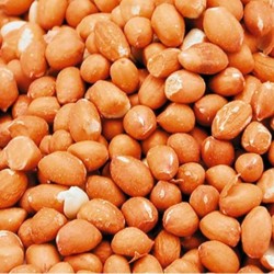 Cacahuètes décortiquées - Sac de 5 kg