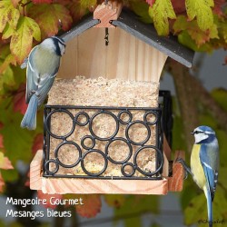 Bloc de graisse végétale aux noix