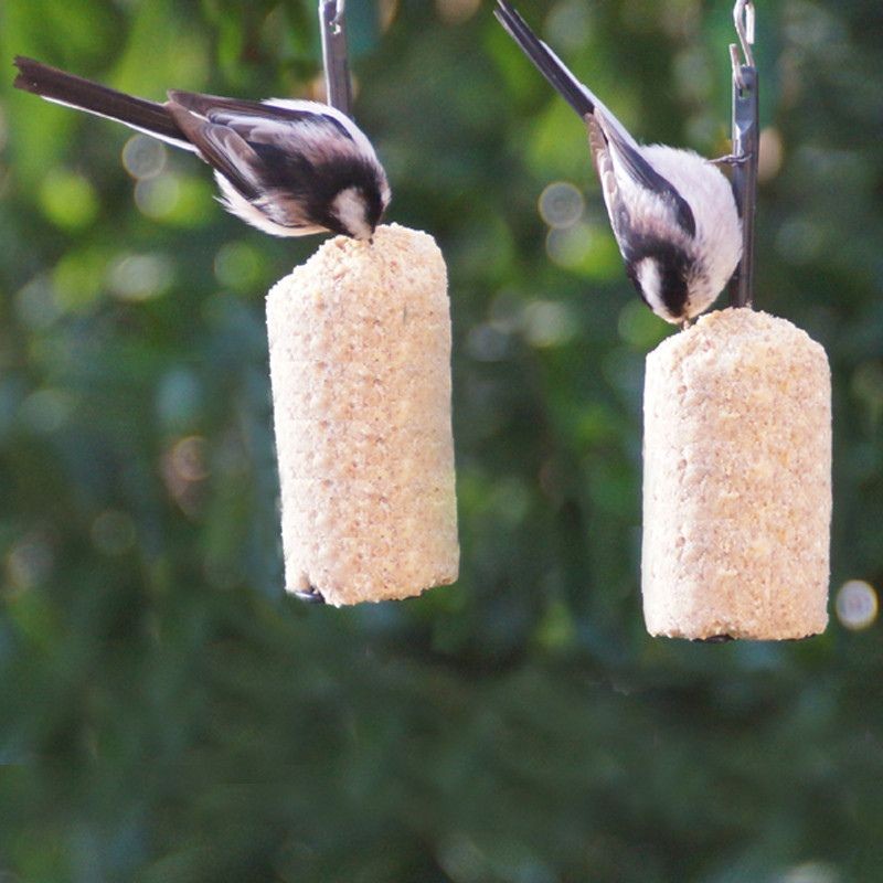 Repas pour oiseaux à base de graisse végétale : saveur cacahuètes