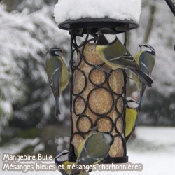 Cylindre de graisse végétale aux Fruits - Pour mangeoire