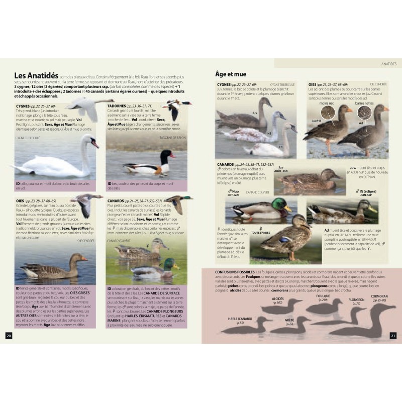 Guide des Oiseaux d'Europe - Manuel d'Identification Photographique