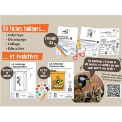 Kit de construction "Des nichoirs dans ma ville" Kit de construction "Des nichoirs dans ma ville"