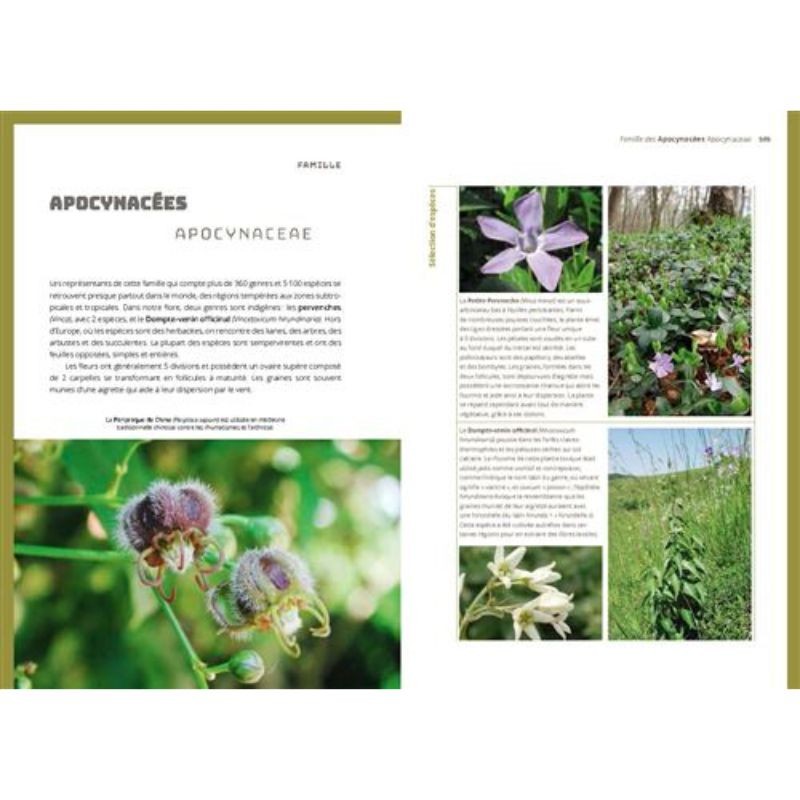 Les bases de la botanique de terrain Familles et genres des plantes à fleurs d'Europe tempérée 