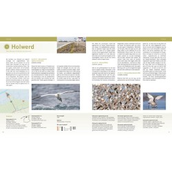 De beste vogelgebieden van Nederland De beste vogelgebieden van Nederland