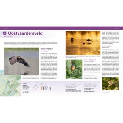 De beste vogelgebieden van Nederland De beste vogelgebieden van Nederland