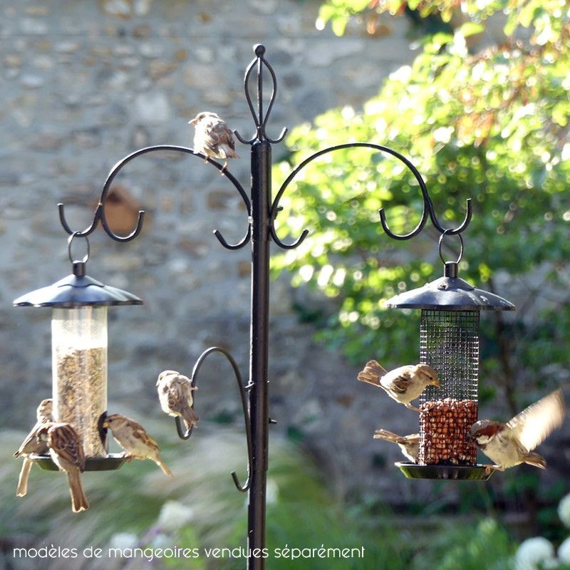 Mangeoire à oiseaux avec caméra Station d'alimentation extérieure pour